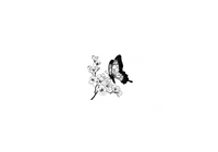 Thumbnail for Cherry Blossom Butterfly Throw Pillow | Black Ink Floral Decorative Pillow | Elegant Home Gift