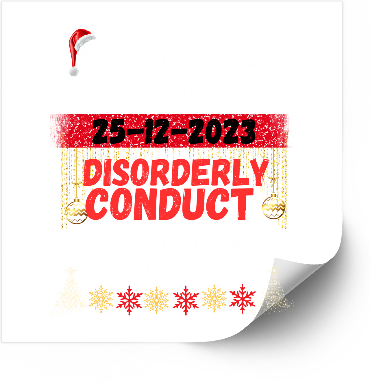 Disorderly Conduct Christmas Sticker | Funny 25-12-2023 Holiday Vinyl Decal | Naughty Xmas Gift