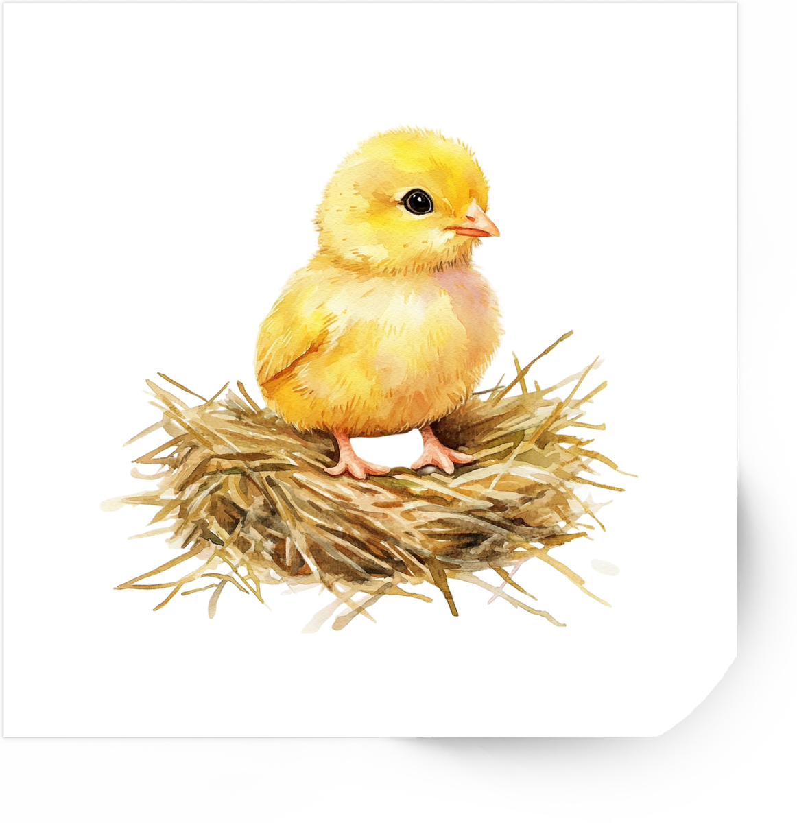 Baby Chick In Nest Sticker | Watercolor Easter Spring Vinyl Decal | Cute Farm Gift