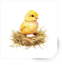 Thumbnail for Baby Chick In Nest Sticker | Watercolor Easter Spring Vinyl Decal | Cute Farm Gift